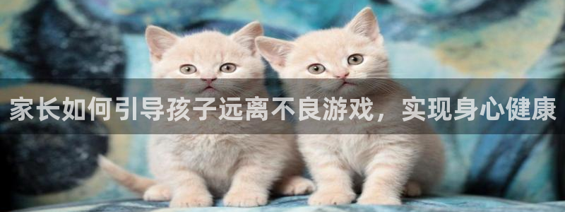 家长如何引导孩子远离不良游戏，实现身心健康