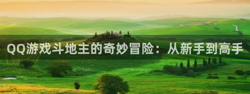 QQ游戏斗地主的奇妙冒险：从新手到高手