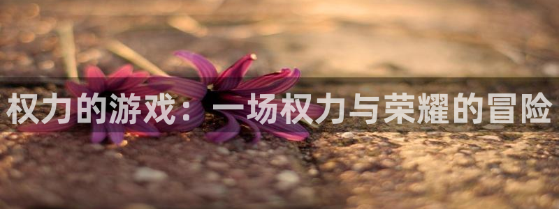 权力的游戏：一场权力与荣耀的冒险