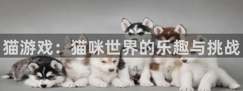 凯发k8真人版