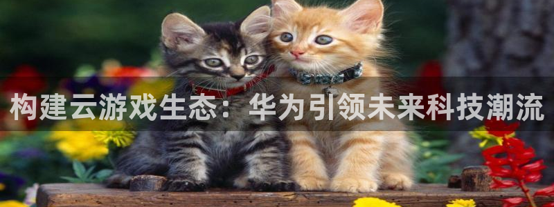 凯发k8官方网娱乐官方