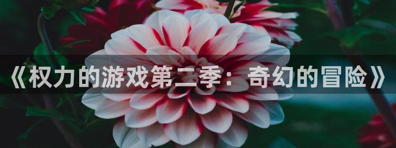 ks8凯发注册平台免费下载：《权力的游戏第二季：奇幻的冒险》