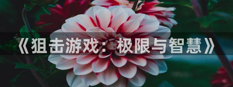 凯发k8官方网娱乐官方