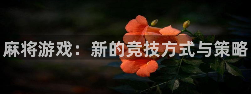 凯发k8旗舰厅：麻将游戏：新的竞技方式与策略